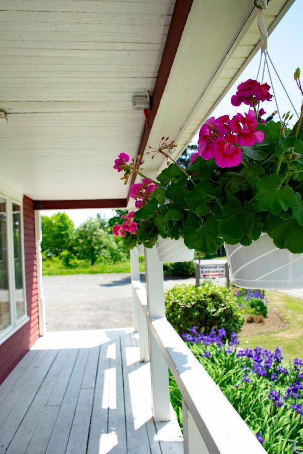 The Whitetail Inn And Suites- Lincoln Exteriör bild
